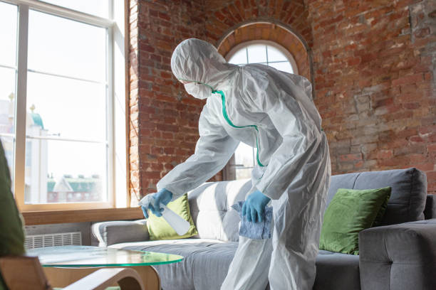 Why You Should Choose Our Mold Remediation Services in Chesterland, OH