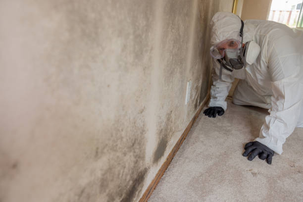 Asbestos and Lead Testing During Mold Inspection in Chesterland, OH